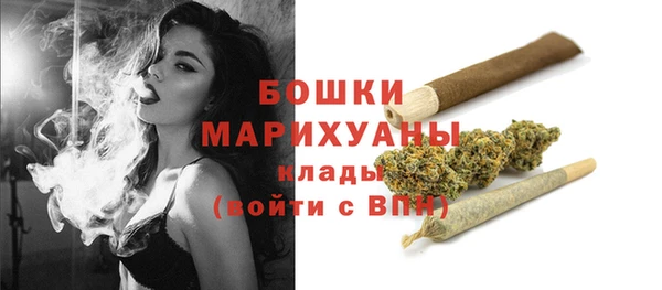 ПСИЛОЦИБИНОВЫЕ ГРИБЫ Баксан