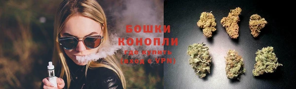 ПСИЛОЦИБИНОВЫЕ ГРИБЫ Баксан